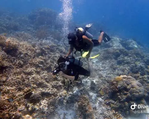 Two divers explore vibrant coral reefs in the crystal-clear waters of Tun Sakaran Marine Park, experiencing the underwater magic of a Semporna diving day trip and diverse marine life.