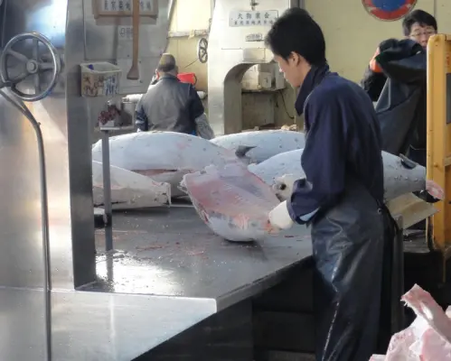 東京本鄉及東京大學週邊|海鮮鮪魚十MEGRO（鮪魚專賣店MEGRO）|僅座位預定