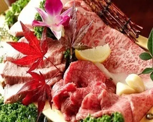 東京龜戶/平井 | 韓國餐廳烤肉耐力場 (Yakiniku Stamina En) |僅座位預定