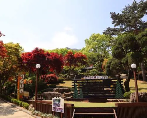【大邱戶外冒險】大邱森林生態主題公園探險體驗