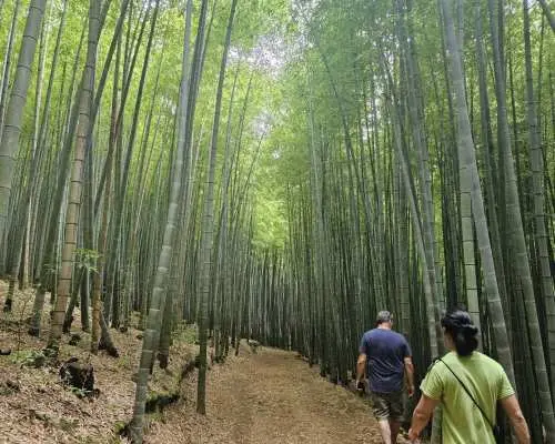 釜山小團遊（含空中膠囊巴士和飯店接送）