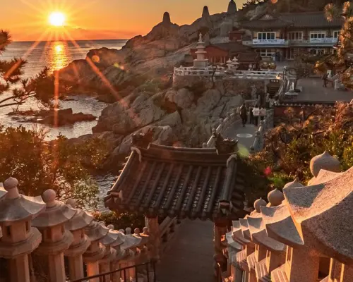 釜山小團遊（含空中膠囊巴士和飯店接送）