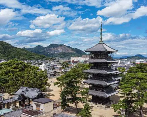 在日本佛教偉人空海誕生的聖地（香川善通寺市）享用使用當季食材烹調的特色素食午餐
