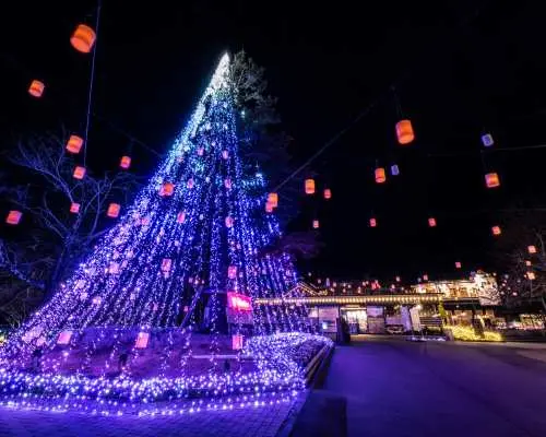 【最高約40%OFF】御殿場高原時之栖Tokisumi Gokigen門票，吃飽飽、玩得開心、看得感動