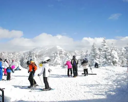Shiga Kogen Central Area Ski Resort Lift Ticket | Japan