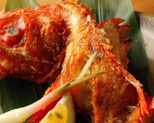 도쿄 긴자 | 야키토리(꼬치구이) 긴자 이나카야(긴자 이나카야) | 좌석 예약 전용