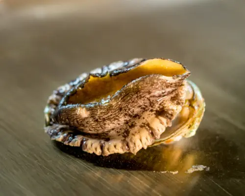 Aichi Prefecture, Shinsakae | Teppanyaki French Kappou Lis | Seat Reservation Only