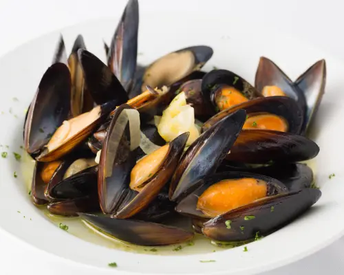 Kanagawa Prefecture, Kannai/Isezakicho | Pasta Restaurant AQUILA VOLANS | Seat Reservation Only