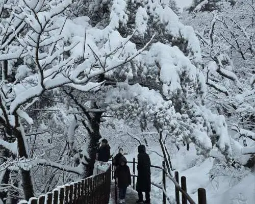 雪岳山私人包车一日游｜雪岳山＋束草传统市场｜首尔出发