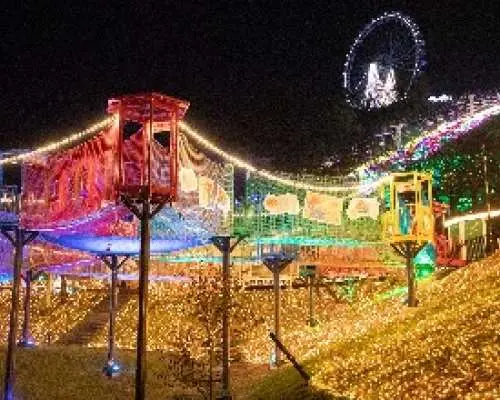 [Departing and arriving at Shinjuku] Sagamiko Illumination direct bus (Sagamihara City, Kanagawa Prefecture)