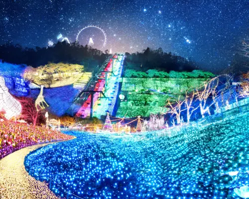 [Departing and arriving at Shinjuku] Sagamiko Illumination direct bus (Sagamihara City, Kanagawa Prefecture)