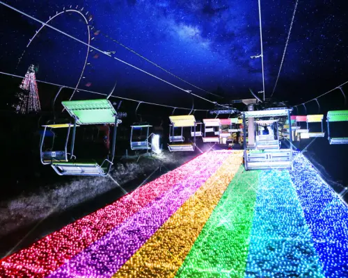 [Departing and arriving at Shinjuku] Sagamiko Illumination direct bus (Sagamihara City, Kanagawa Prefecture)