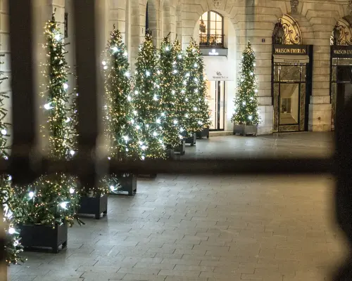 A stunning row of beautifully illuminated Christmas trees lining a grand Parisian street or square at night, creating a magical and festive holiday ambiance.