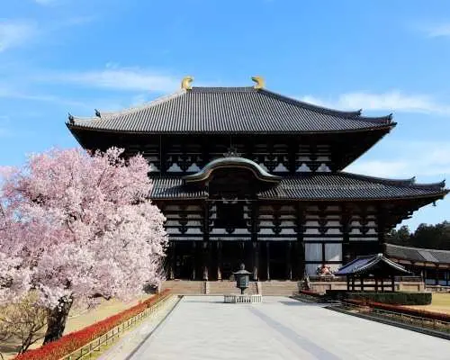 Nara World Heritage PRIVATE TOUR
