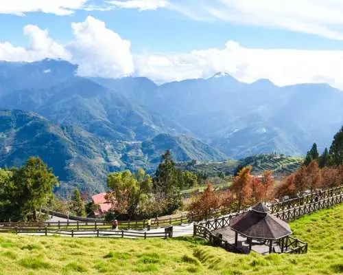 【樱花季】清境合欢山＆福寿山＆武陵农场 3 日｜台北出发