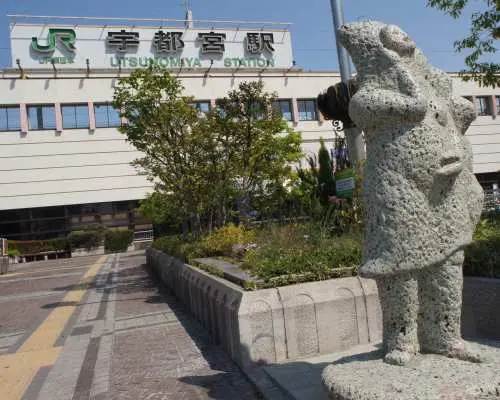 宇都宮市内・宇都宮駅〜東武駅路線バス1日乗車券・きぶな一日乗車券（栃木県・宇都宮市）