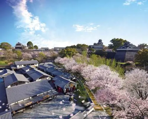 [One-day cruise] One-day tour of Kumamoto, Japan Kumamoto Castle/Hiroyoshi Onsen/Aso Volcano｜MSC Bellissima Glory｜Chinese tour guide