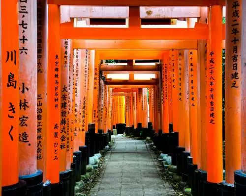 樂桃航空・桃園出發｜京都機加酒自由行 5 日・京都 Urban 系列飯店＋體驗一晚貴船川床宴席｜2人成行・含餐廳接送