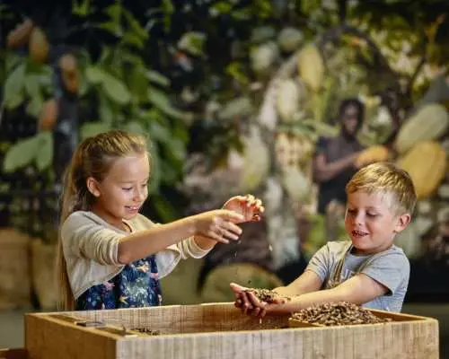 Children at Maison Cailler's interactive exhibition area, playing with cocoa beans to explore the origins and process of making Swiss chocolate.