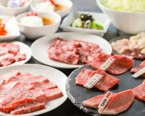 Kanda/Ochanomizu, Tokyo | Yakiniku Yakiniku Sho (Yakiniku Warai Kanda Branch) | Seat Reservation Only