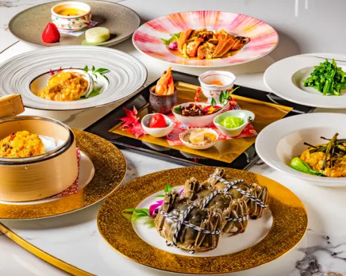东京银座 | 创作料理GINZA Shinfuen（GINZA沁馥園）|仅座位预訂