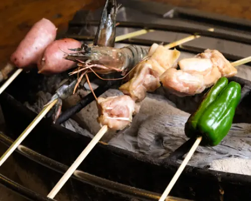 Hachioji, Tokyo | Japanese Charcoal Grill Hinatori Yama | Seat Reservation Only