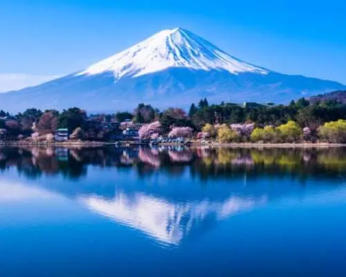 富士山網紅打卡景點一日遊｜新倉山淺間公園・天梯小鎮・時計街・忍野八海・本栖湖富士芝櫻祭｜贈送美味草餅