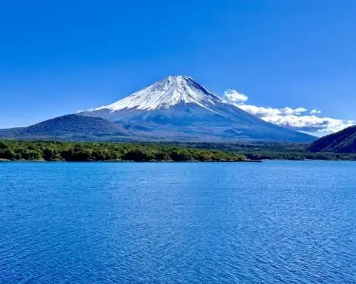 富士山網紅打卡景點一日遊｜新倉山淺間公園・天梯小鎮・時計街・忍野八海・本栖湖富士芝櫻祭｜贈送美味草餅