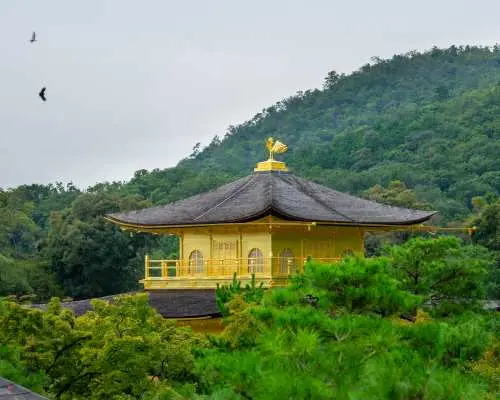 ทริปเที่ยวชมสถานที่ท่องเที่ยวยอดนิยมในเกียวโตแบบไปเช้าเย็นกลับ | ปราสาทนิโจ วัดคินคาคุจิ ศาลเจ้าฟูชิมิอินาริ ป่าไผ่อาราชิยามะ ป่ากิโมโน | ออกเดินทางจากโอซาก้าหรือเกียวโต
