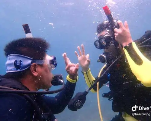 【小琉球潛水證照】 PADI 開放水域潛水員證照課程