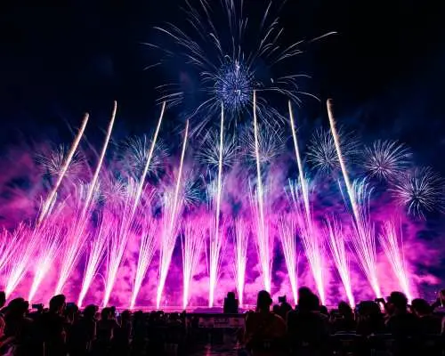 【最大¥500OFF】東京競馬場花火2026 SHOGO HAMADA 50th ANNIVERSARY FIREWORKS 2026 FLASH AND SHADOW ～ 光と影の季節 ～入場チケット 予約（東京都 府中市・イベント）