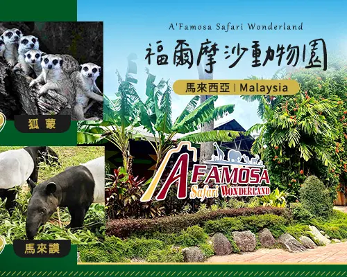【馬來西亞旅遊】馬來西亞輕鬆遊～古城三輪車、野生動物世界、吉隆坡黑風洞、濱樂雅渡假村五日