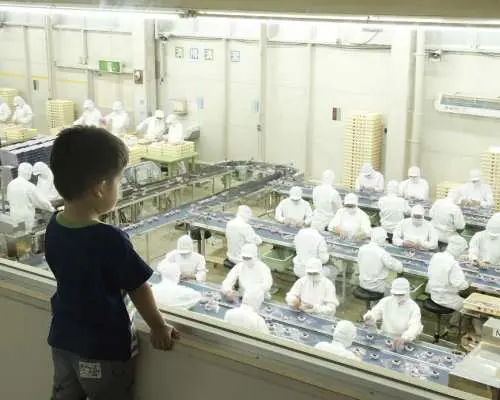 桃子大感谢祭｜忍野八海・桃子采摘吃到饱＋赠送一箱桃子（4～5个）＋寿喜烧午餐｜东京出发・新宿出发一日游观光行程