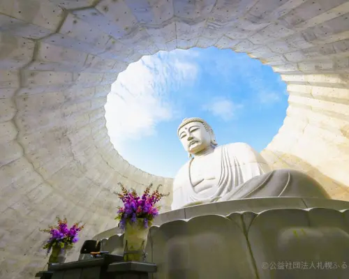 【日本旅遊】北海道冬之戀～小樽函館山、尼克斯企鵝秀、洞爺湖彩燈節、三大蟹湯泉香五日