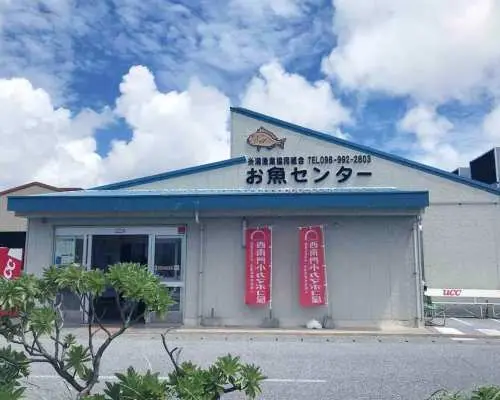 冲绳南部一日游｜知念岬・新原海滩・玉泉洞・糸满鱼市场｜DMM水族馆／濑长岛二选一｜那霸出发