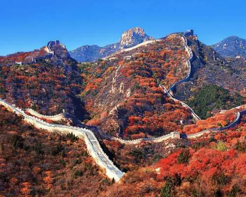 웅장한 팔달령 만리장성이 선명한 붉은색과 주황색 단풍으로 물든 구릉지를 구불구불 이어가며, 맑고 푸른 하늘 아래 역사적인 걷기 코스를 보여줍니다.