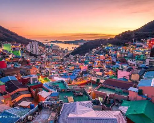 KKday 釜山专属包车｜您的行程安排（韩国釜山、PUS地区出发）