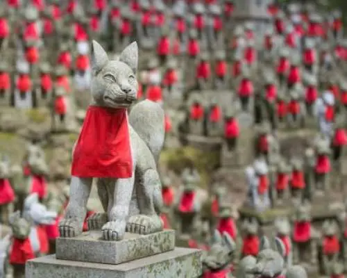 季节限定一日游：虎溪山永保寺・四季樱・香岚溪赏枫・蒲郡采果体验・豊川稻荷看千狐石・ 三井Outlet冈崎购物（A/B/C 多方案）|名古屋往返