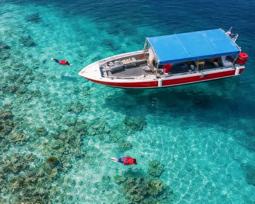 仙本那：馬達京島・汀巴汀巴・邦邦島｜浮潛＆潛水體驗 Island Hopping（含午餐、礦泉水）