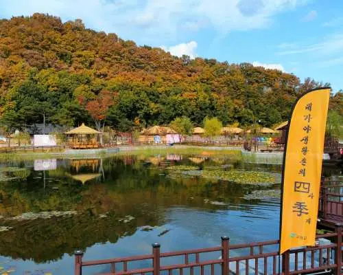 大加耶古墳展示館に隣接する美しい湖畔、黄金色の木々と伝統的な建物が湖面に映り込み、秋の風情を満喫できます。