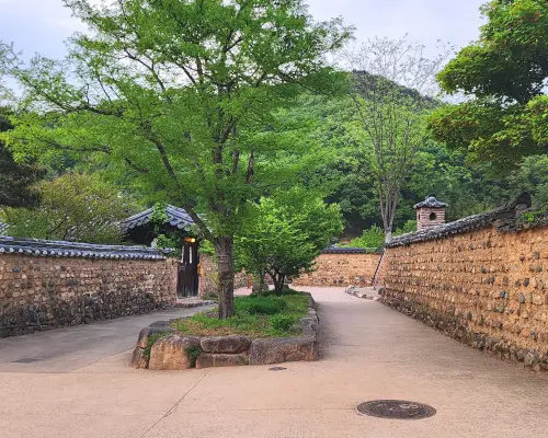 大邱の伝統文化村落を meanderingする石垣の小道、韓国の歴史と建築の美しさを体験。