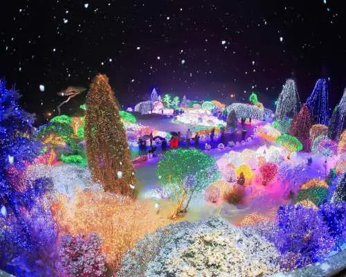 韓國晨靜樹木園冬季限定的五色星光庭園展夜景，數萬顆璀璨燈飾將整個園區點綴成夢幻的色彩世界，細雪紛飛。