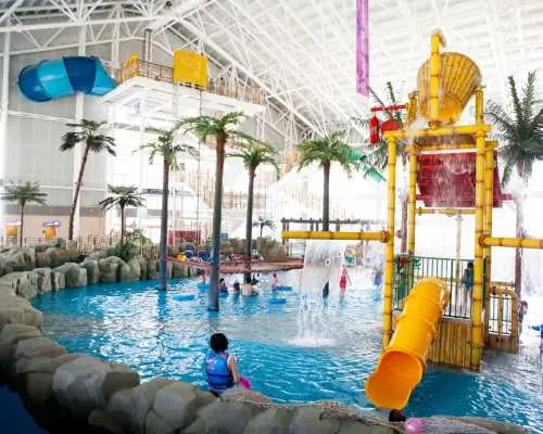 韓國首爾｜親子玩雪FUN FUN FUN！平昌ALPENSIA滑雪場、牧場餵綿羊做披薩、雪兜體驗、有機草莓園、室內溫泉水上樂園兩天團 (首爾出發)