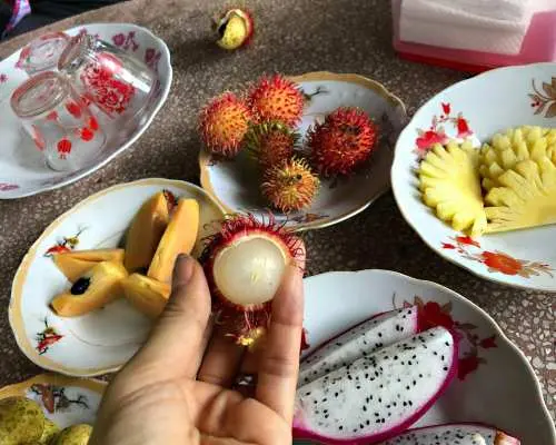 【催行保証】ホーチミン発 メコン川クルーズ メコン名物料理昼食付き＋ココナッツキャンディ工房＋ハチミツ農園見学 (日本語ガイド・無料WiFi搭載車利用)