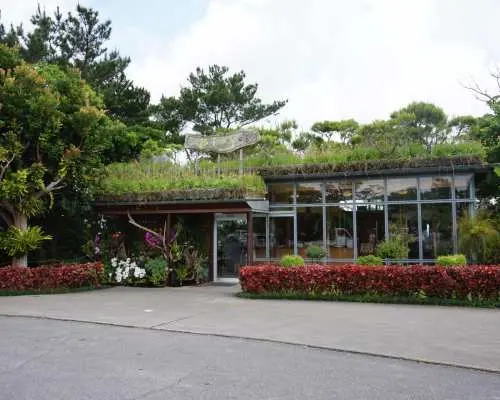 日本。沖縄｜自然生態テーマ植物園 ビオスの丘 ビオスの丘チケット