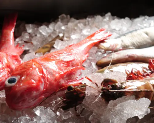 Kichijoji, Tokyo | Sake Bar Uohide（魚秀 禅)| Seat Reservation Only