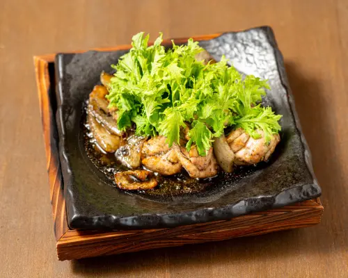 大阪府 难波、日本桥、道顿堀| 居酒屋binchou tani yakitori morikawa（備長炭やきとり 森川)|仅座位预訂