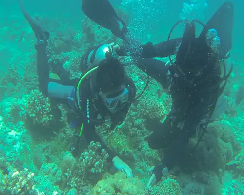 マクタン島｜ライセンス不要！シャングリラ・セブホテル ビーチ体験ダイビング（ホテル送迎付き・日本語インストラクター・選べる午前 or 午後プラン）