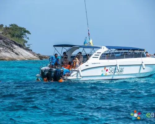 เดินทางดำน้ำดูประการัง