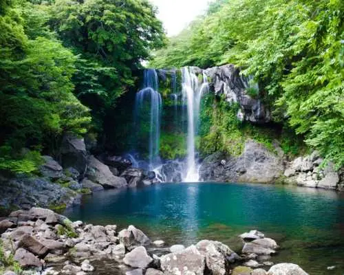 済州島にある壮大な天帝淵瀑布。澄んだエメラルドグリーンの池に流れ落ち、周囲には豊かな亜熱帯植物が生い茂る、静かで美しい自然の景観です。